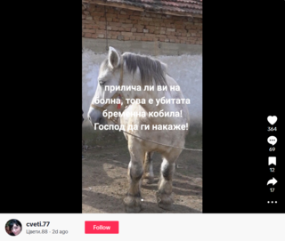Fact Check: Euthanized Pregnant Mare Is NOT Part Of Bulgarian Authorities' Plan To Destroy Livestock Farming 